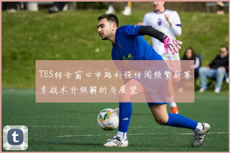 TES转会窗口中路补强传闻频繁新赛季战术升级解析与展望