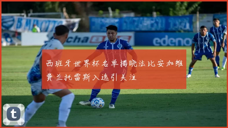 西班牙世界杯名单揭晓法比安加维费兰托雷斯入选引关注